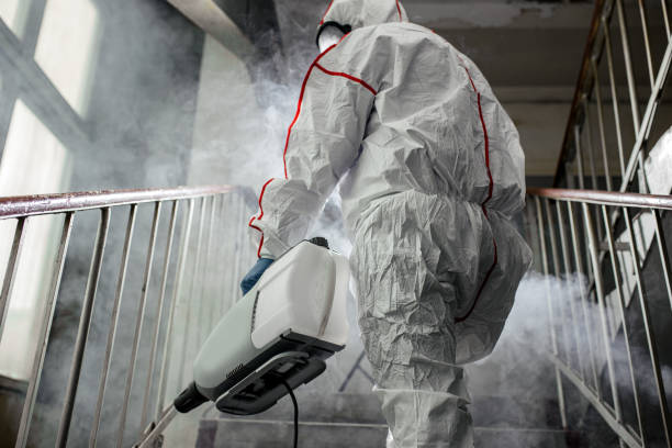 Best Industrial Mold Remediation  in Bloomer, WI